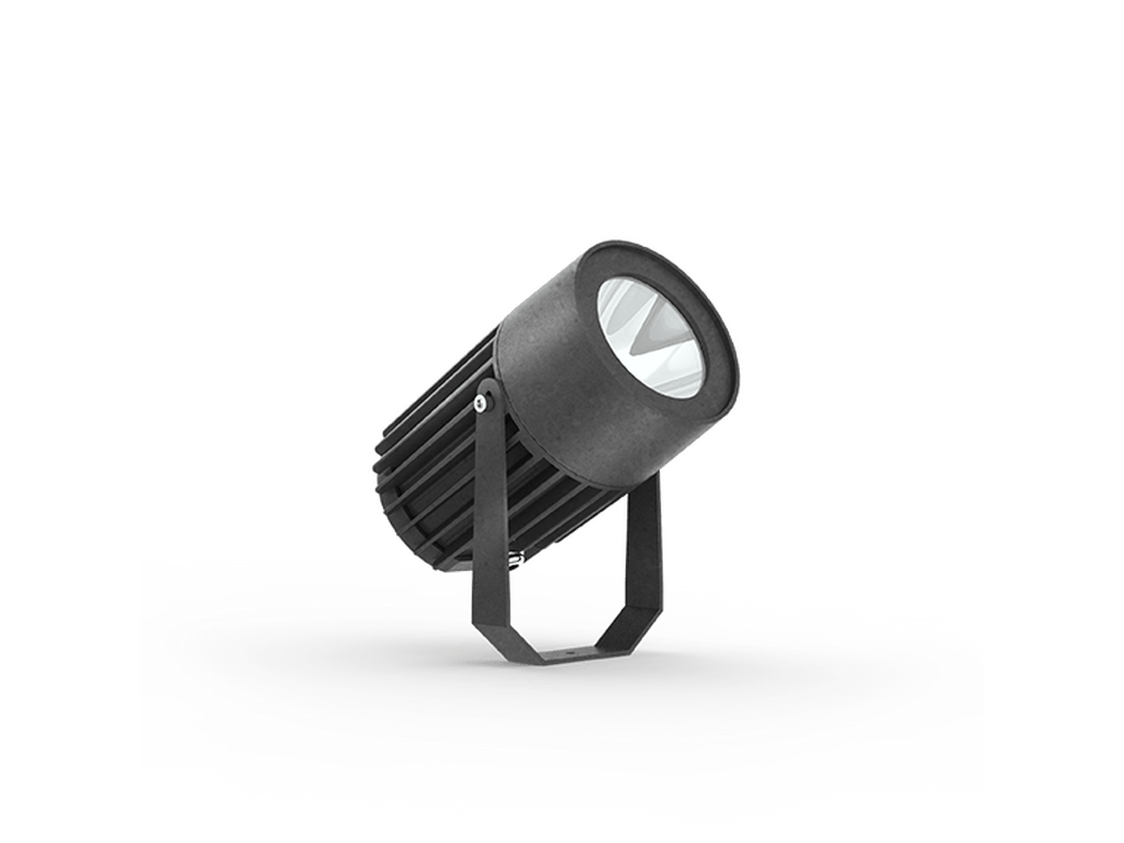 LigmanOdessa 2Projectors