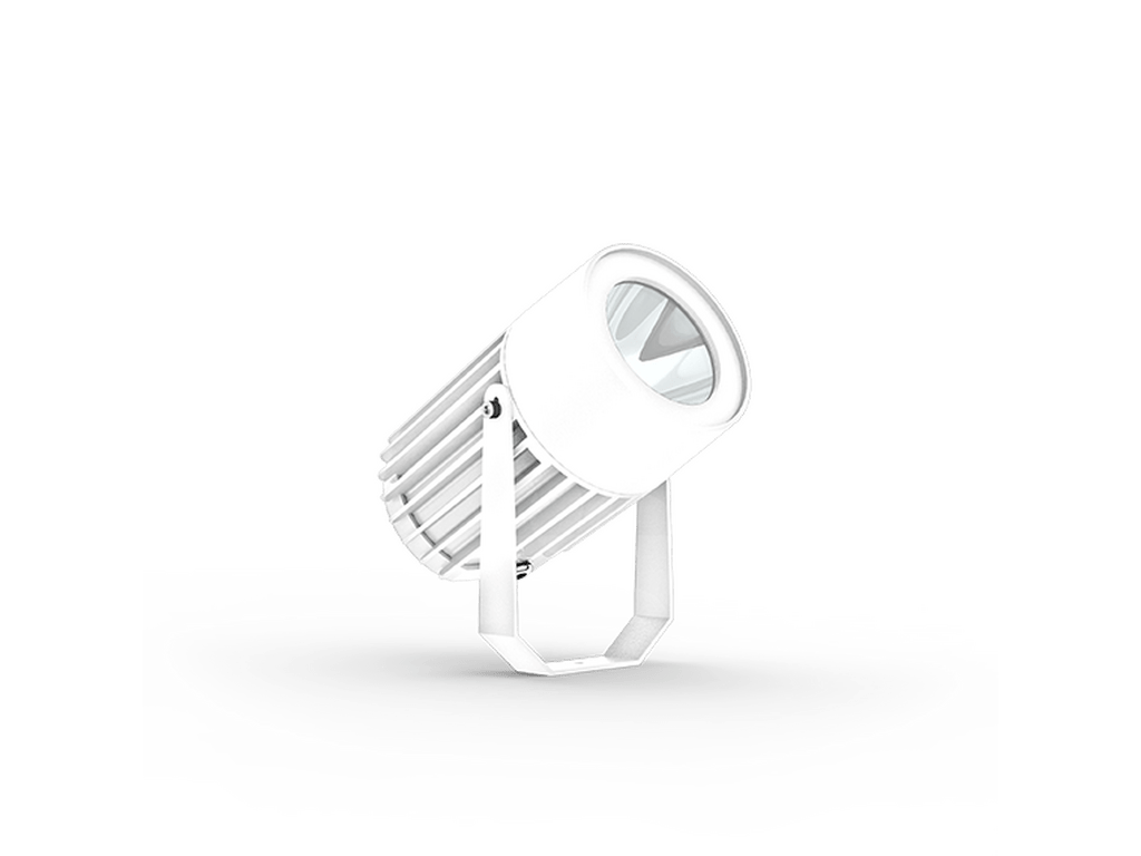 LigmanOdessa 2Projectors