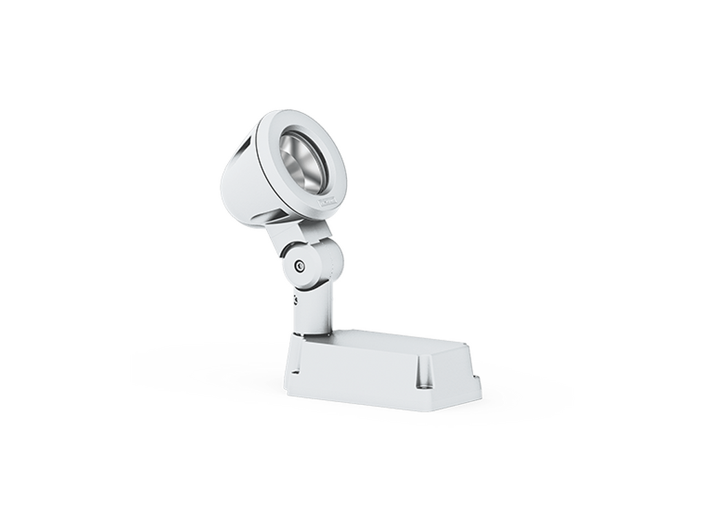 LigmanZaab 1Projectors