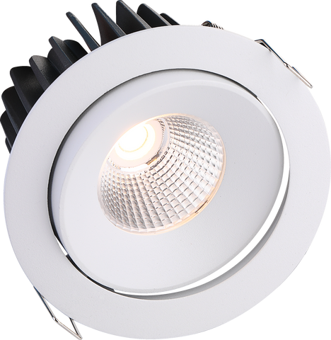 Hunter 110mm Adjustable LED Downlight