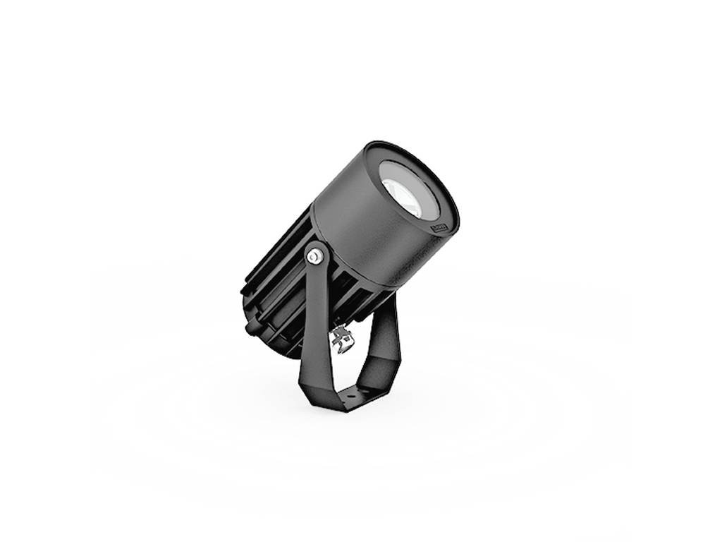 LigmanOdessa 1Projectors