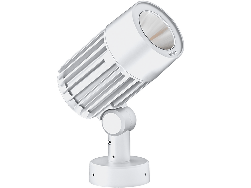 LigmanOdessa 6Projectors