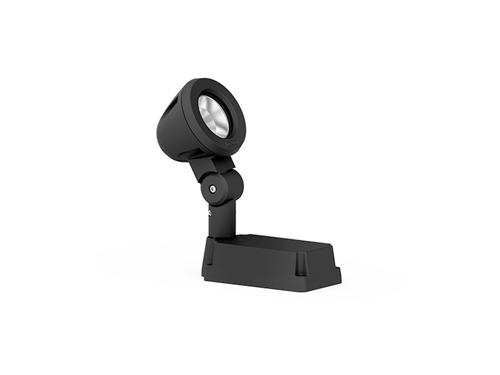 LigmanZaab 1Projectors