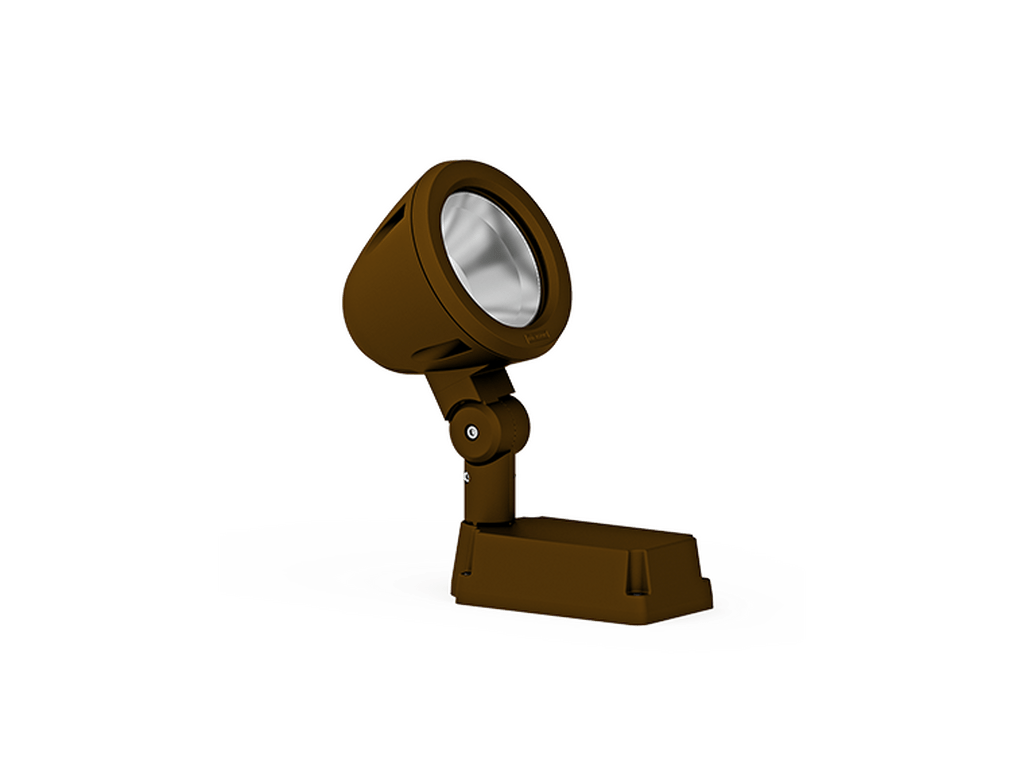 LigmanZaab 2Projectors