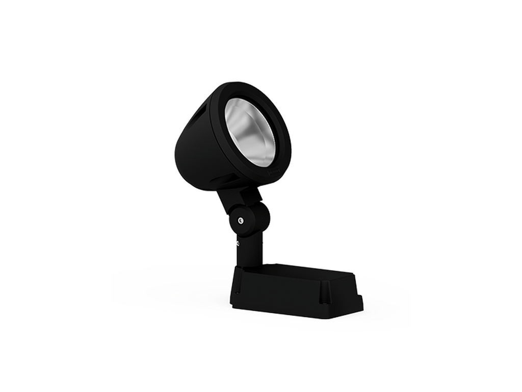 LigmanZaab 2Projectors