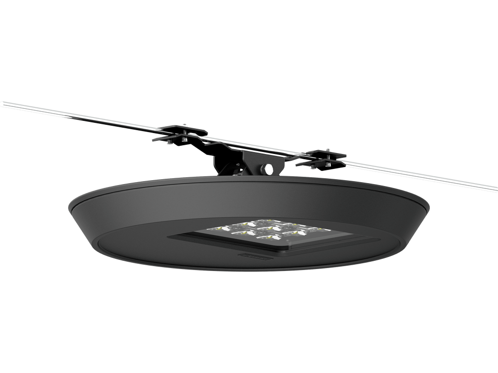 LigmanMACARON - CatenaryCatenary